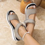 2c7b54cd-7729-4d8f-bf38-f13c2f8f88a6-Max-Origin