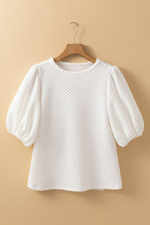 Textured Round Neck Puff Sleeve Blouse