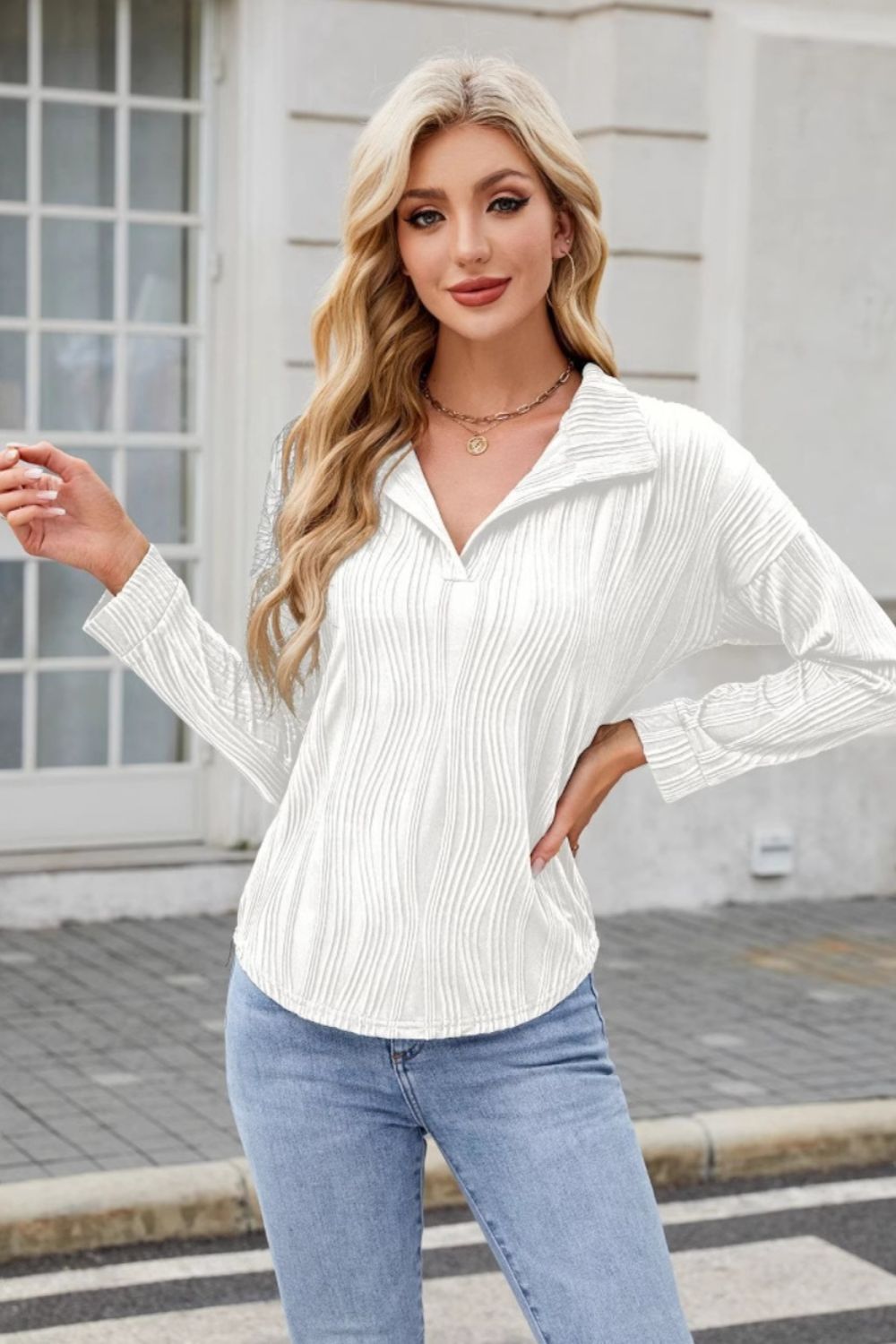 Texture Collared Neck Long Sleeve Blouse