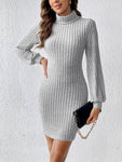 Turtleneck Long Sleeve Mini Dress